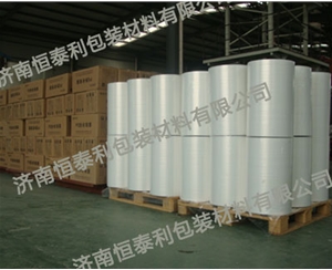 昌邑PE热收缩膜